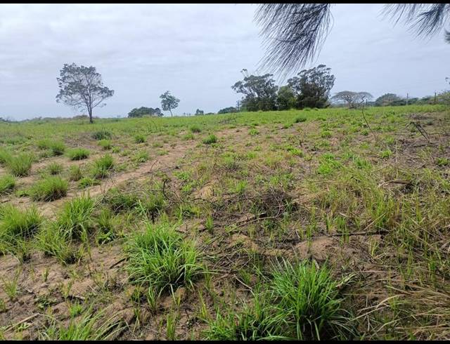 LAND FOR SALE IN BALLITO RURAL
